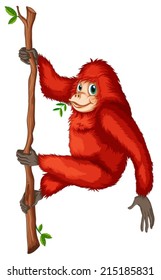 Illustration of a playful red orangutan on a white background
