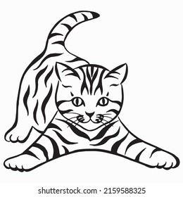 illustration playing stripes cat  Kitten linear drawing  Cat silhouette drawing by hand  Animal vector image 
