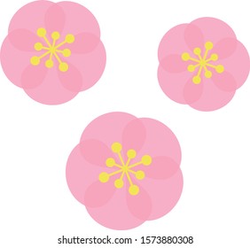 Illustration of plum blossom in full bloom,