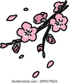 Illustration of plum blossoms, their buds, and their branches. The flowers are scattered.