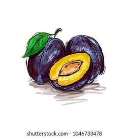 Illustration of plum fruit.