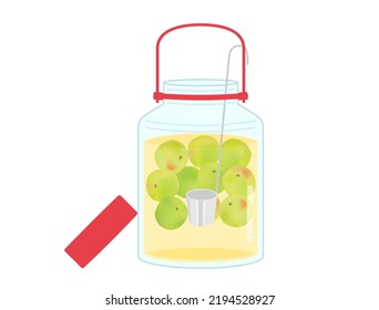 It is an illustration of plum liquor and syrup in a bottle.