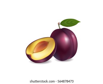 illustration of a plum on white background