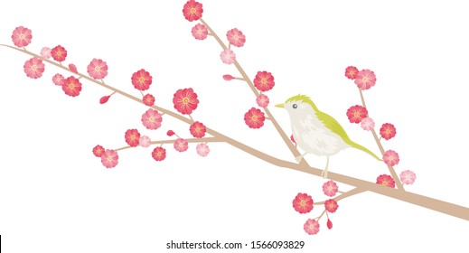 Illustration of plum tree and bird.