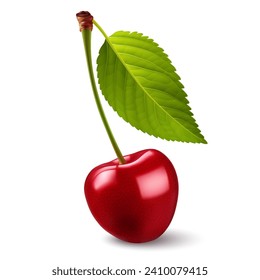 Illustration of plump, gloss cherry with veined green leaf attached to their stem. Isolated on a clean white background.