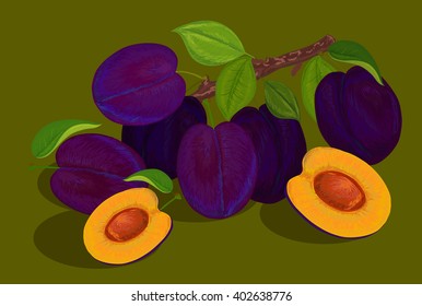illustration plums