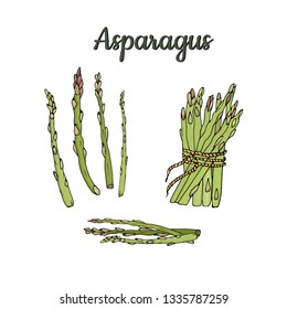 Illustration pods and asparagus bundle isolated on white background. Vector