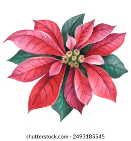 Illustration of poinsettia - a symbol of Christmas. Can be used as a card, cover background or web message. Vector illustration in watercolor style.