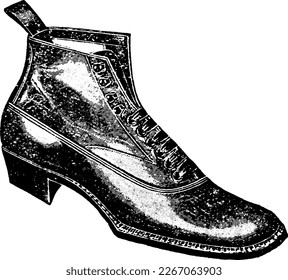 Illustration of Pointy Men Business Fashion Boot With Laces and Heel, Illustration drawn in engraved etching style with halftones and linework. Antique shoe from early 1900s. Retro sketch.