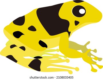 Illustration of a poisonous frog in yellow and black