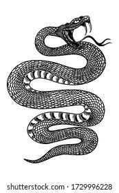 Illustration of poisonous snake  in engraving style. Design element for logo, label, emblem, sign, badge. Vector illustration