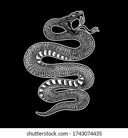 Illustration of poisonous snake  in engraving style. Design element for logo, label, emblem, sign, badge. Vector illustration
