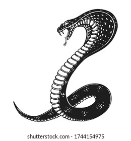 Illustration of poisonous snake  in engraving style. Design element for logo, label, emblem, sign, badge. Vector illustration