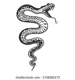 Illustration of poisonous snake  in engraving style. Design element for logo, label, emblem, sign, badge. Vector illustration