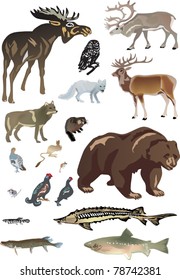 illustration with polar animals collection on white background