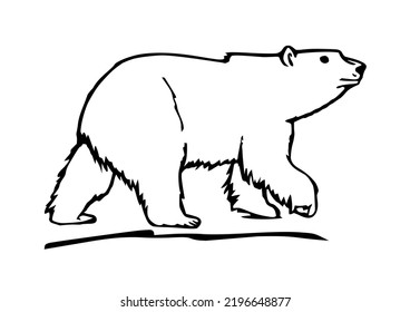 Illustration Of Polar Bear Clipart