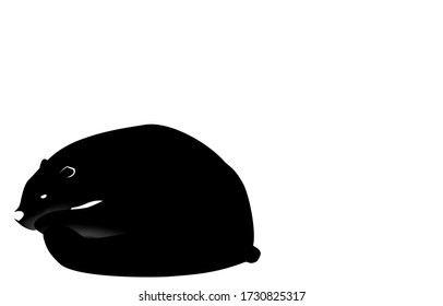 Ilustración de un oso polar que yace