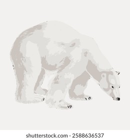 Illustration of a polar bear, showcasing its white fur and large size. The polar bear is depicted in a side view, highlighting its distinctive features. Vintage animal illustration vector.