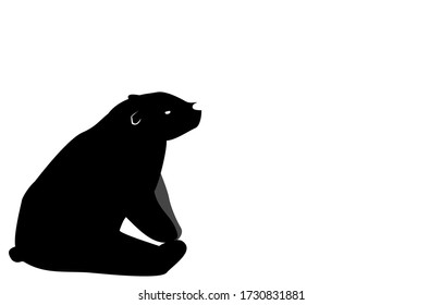 Illustration of a polar bear sitting and turning to the right