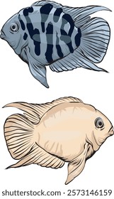 illustration of polar blue parrot and white parrot cichlid ornamental fish