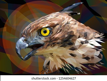 Illustration polygonal drawing  Head focus of the Changeable Hawk Eagle.