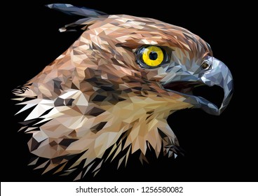 Eagle Focus Stock Vectors Images Vector Art Shutterstock