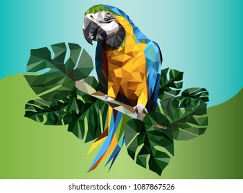 Illustration polygonal drawing of macaw bird and tropical leaf.