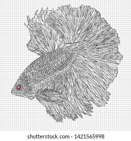 Illustration polygonal line art of saimese betta portrait table background.