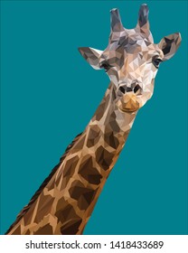 Illustration polygonal vector 3d art of giraffe head portrait with color background.