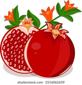  Illustration of Pomegranate with flower and leaves
