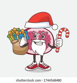 An illustration of Pomegranate Fruit cartoon mascot character in Santa costume with candy