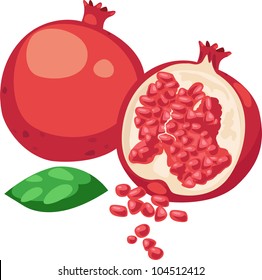 illustration Pomegranate Fruit vector file on White background