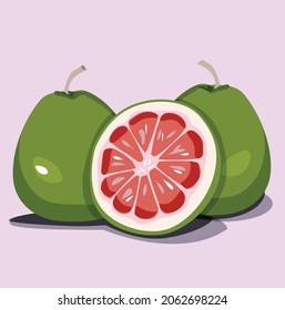 Illustration of a pomelo fruit with peel, vector, ideal for teaching materials, posters and other design projects.