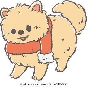 Illustration of a Pomeranian staring at you (Christmas)