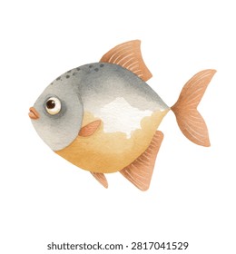 Illustration of a pompano fish