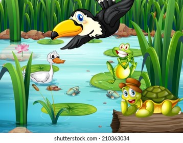 Illustration pond and animals