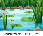 Illustration of a pond with green plants