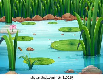 Illustration of a pond with green plants