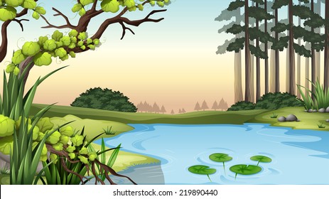 Illustration of a pond at the jungle