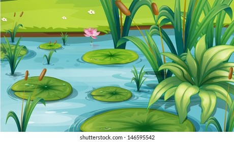Illustration of a pond with many plants