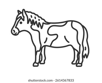 Illustration of a pony (line drawing).