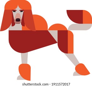 illustration of a poodle dog
