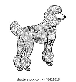 Illustration "Poodle Dog" was created in doodling style in black and white colors.  Painted image is isolated on white background.  It  can be used for coloring books for adult, shirt design. 