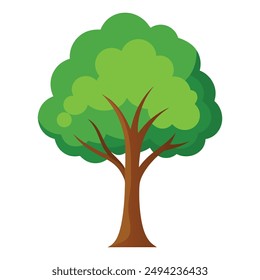 Illustration of Poplar tree Isolated