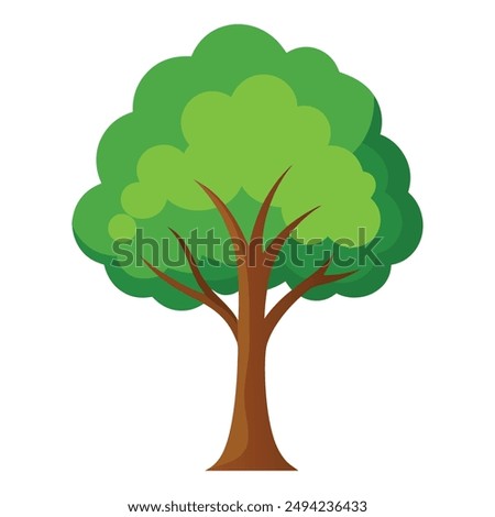 Illustration of Poplar tree Isolated