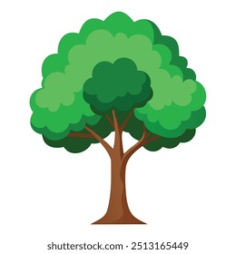 Illustration of Poplar tree Isolated on white