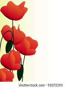 illustration of poppies on a colored background. artwork
