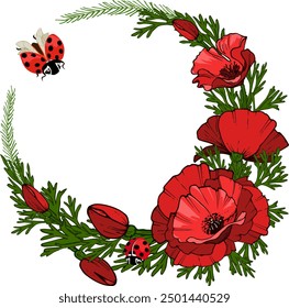 Illustration with poppy decoration.Vector illustration with a bouquet of poppies and ladybugs on a transparent background.