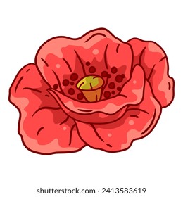 Illustration of poppy flower. Beautiful decorative plant.