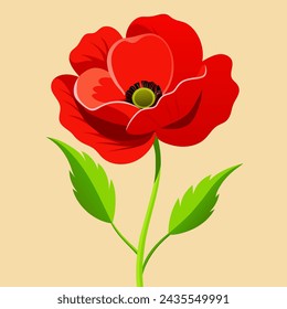 illustration of poppy flower red with green litas vector graphics